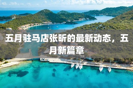 五月驻马店张昕的最新动态，五月新篇章