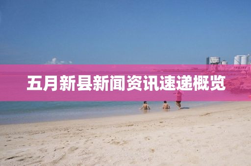 五月新县新闻资讯速递概览