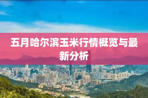 2025年5月31日 第9页