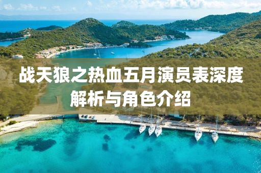 战天狼之热血五月演员表深度解析与角色介绍