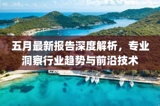五月最新报告深度解析，专业洞察行业趋势与前沿技术
