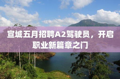 宣城五月招聘A2驾驶员，开启职业新篇章之门