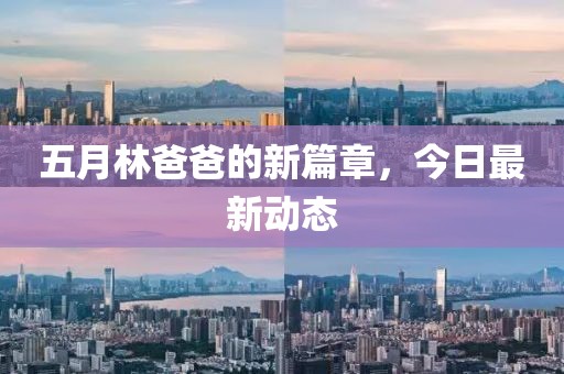五月林爸爸的新篇章，今日最新动态