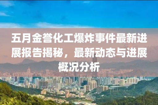 五月金誉化工爆炸事件最新进展报告揭秘，最新动态与进展概况分析