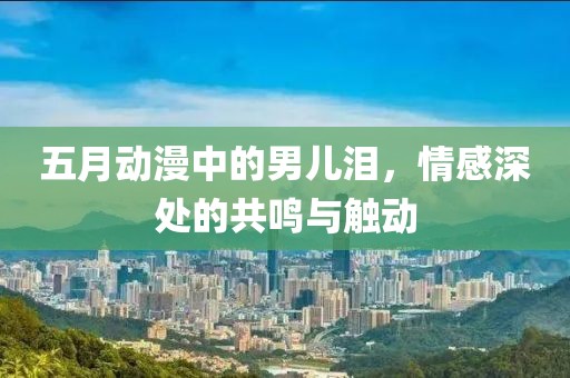 五月动漫中的男儿泪，情感深处的共鸣与触动