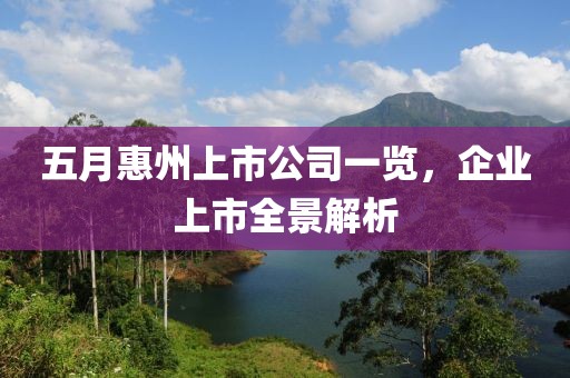 五月惠州上市公司一览，企业上市全景解析