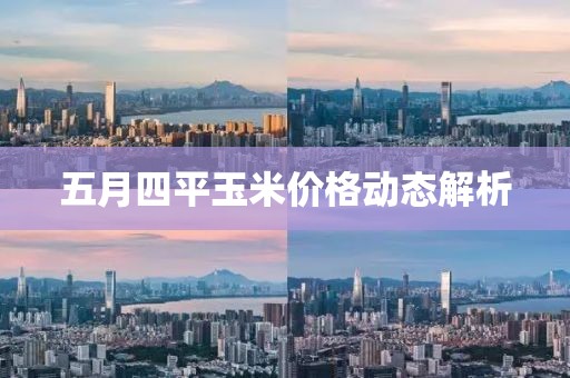 五月四平玉米价格动态解析