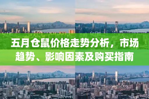 五月仓鼠价格走势分析，市场趋势、影响因素及购买指南