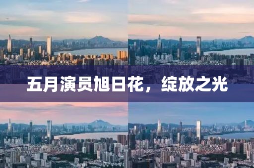 五月演员旭日花，绽放之光