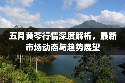 五月黄芩行情深度解析，最新市场动态与趋势展望