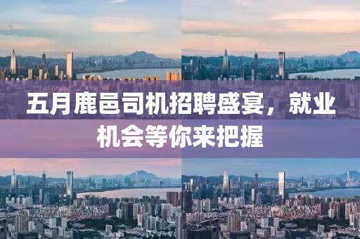 五月鹿邑司机招聘盛宴，就业机会等你来把握