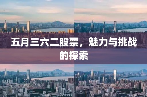 五月三六二股票，魅力与挑战的探索
