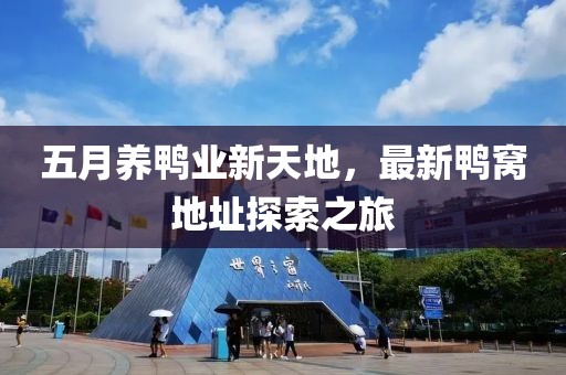 五月养鸭业新天地，最新鸭窝地址探索之旅