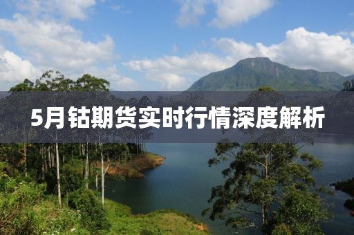 5月钴期货实时行情深度解析