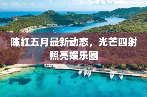 陈红五月最新动态，光芒四射照亮娱乐圈