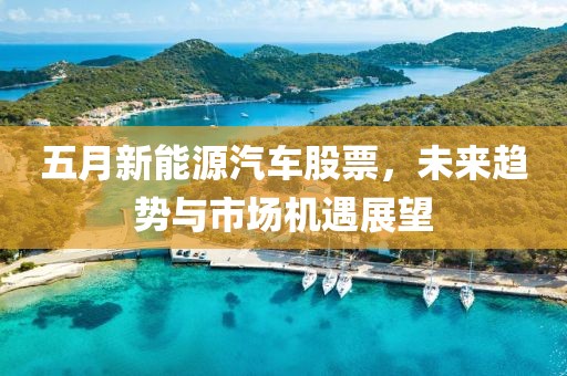 五月新能源汽车股票，未来趋势与市场机遇展望