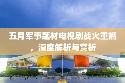 五月军事题材电视剧战火重燃，深度解析与赏析