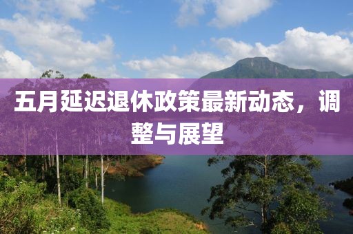 五月延迟退休政策最新动态，调整与展望