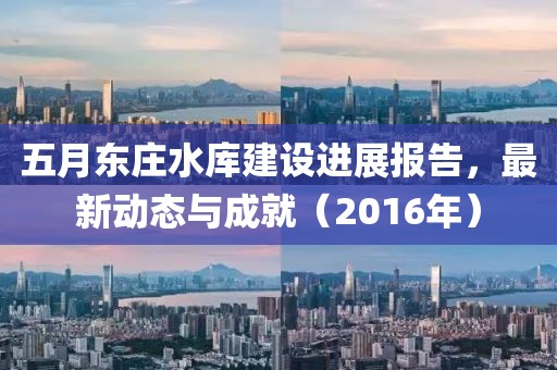 五月东庄水库建设进展报告，最新动态与成就（2016年）