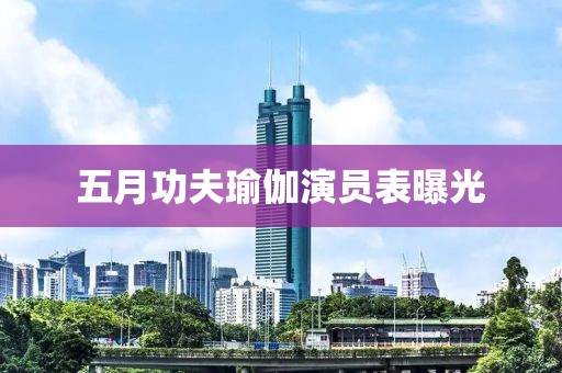 五月功夫瑜伽演员表曝光