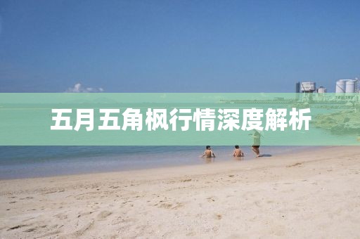 五月五角枫行情深度解析