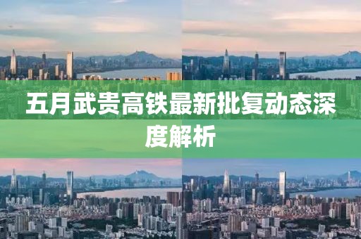 五月武贵高铁最新批复动态深度解析