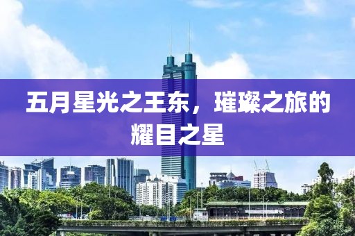 五月星光之王东，璀璨之旅的耀目之星