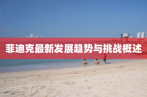 菲迪克最新发展趋势与挑战概述