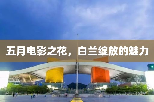 五月电影之花，白兰绽放的魅力