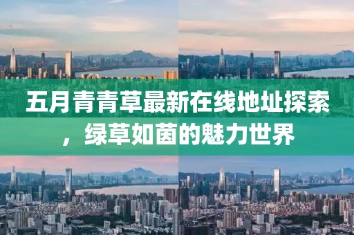 五月青青草最新在线地址探索，绿草如茵的魅力世界