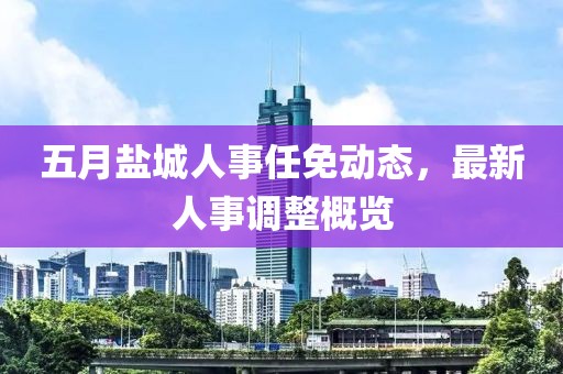 五月盐城人事任免动态，最新人事调整概览