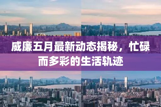 威廉五月最新动态揭秘，忙碌而多彩的生活轨迹