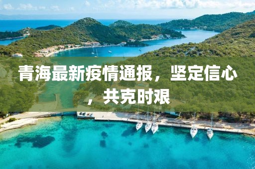 青海最新疫情通报，坚定信心，共克时艰