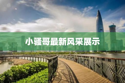 小骚哥最新风采展示