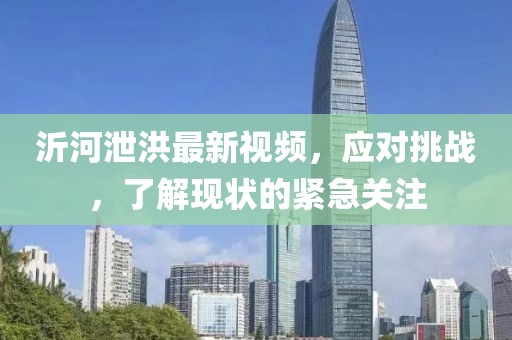 沂河泄洪最新视频，应对挑战，了解现状的紧急关注