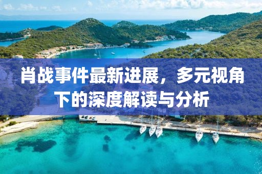 肖战事件最新进展，多元视角下的深度解读与分析