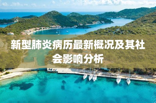 新型肺炎病历最新概况及其社会影响分析
