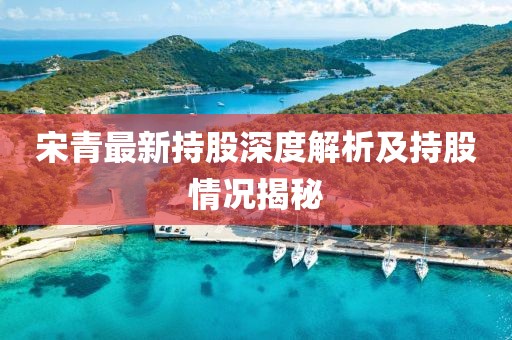 宋青最新持股深度解析及持股情况揭秘