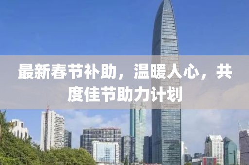 最新春节补助，温暖人心，共度佳节助力计划