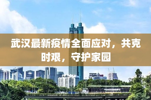 武汉最新疫情全面应对，共克时艰，守护家园