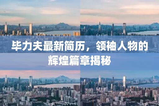 毕力夫最新简历，领袖人物的辉煌篇章揭秘