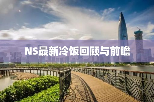 NS最新冷饭回顾与前瞻