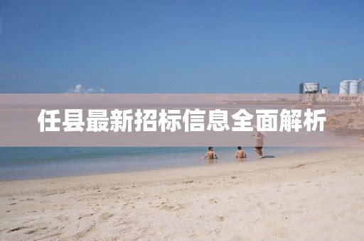 任县最新招标信息全面解析