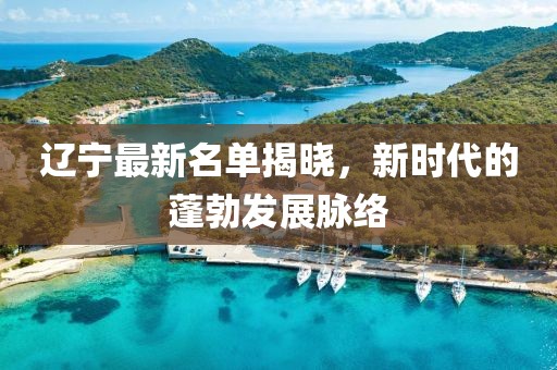 辽宁最新名单揭晓，新时代的蓬勃发展脉络
