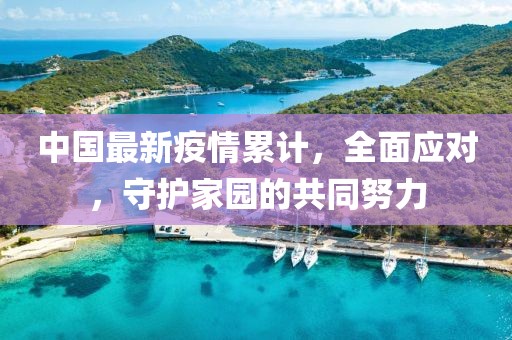 中国最新疫情累计，全面应对，守护家园的共同努力