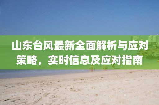 山东台风最新全面解析与应对策略，实时信息及应对指南