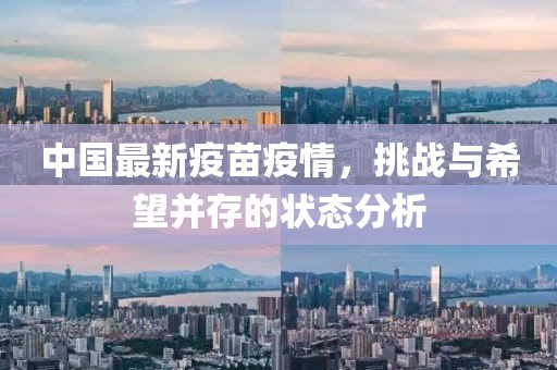 中国最新疫苗疫情，挑战与希望并存的状态分析