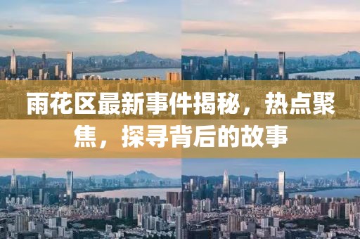 雨花区最新事件揭秘，热点聚焦，探寻背后的故事