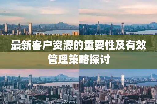 最新客户资源的重要性及有效管理策略探讨