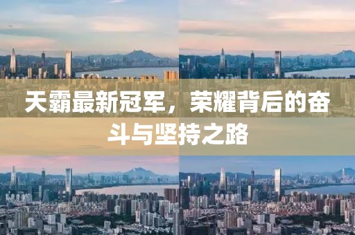 天霸最新冠军，荣耀背后的奋斗与坚持之路